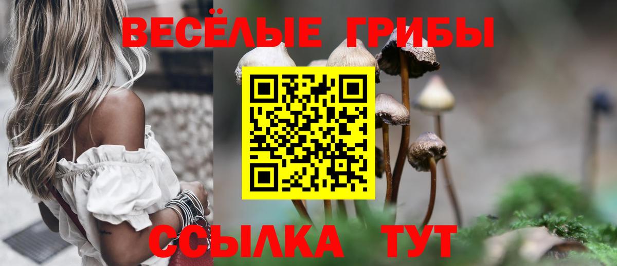 Белогорск  Галлюциногенные грибы Psilocybe  купить  сайты  Галлюциногенные грибы GOLDEN TEACHER  Вход с VPN 